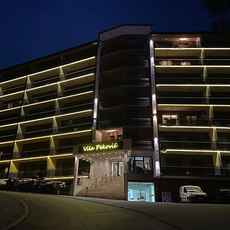 Apartment Pino Bianco 1 - Vila Pekovic Zlatibor Ngoại thất bức ảnh